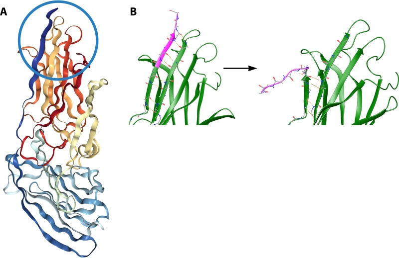 FIG 10