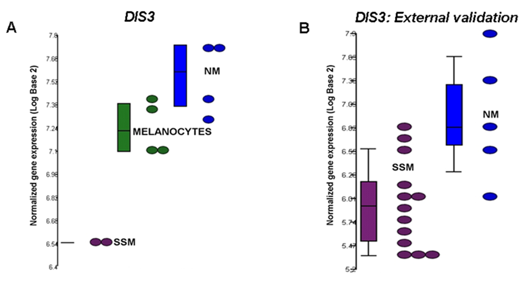 FIGURE 3