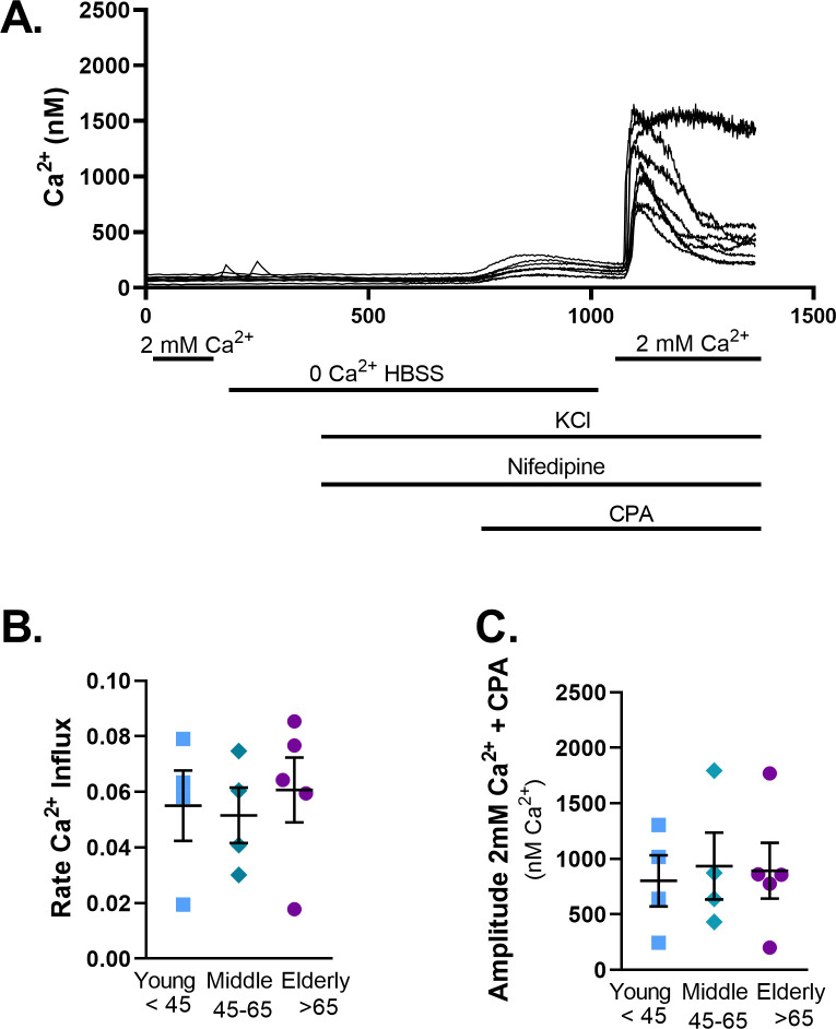 Fig 7