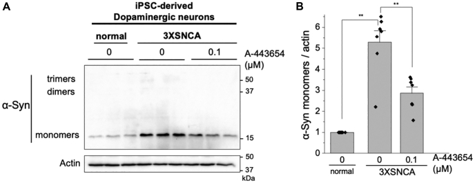 Figure 5