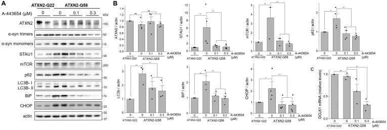 Figure 6