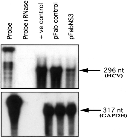 Figure 9-4241