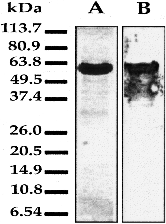 Figure 1-4241