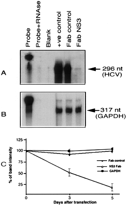 Figure 6-4241