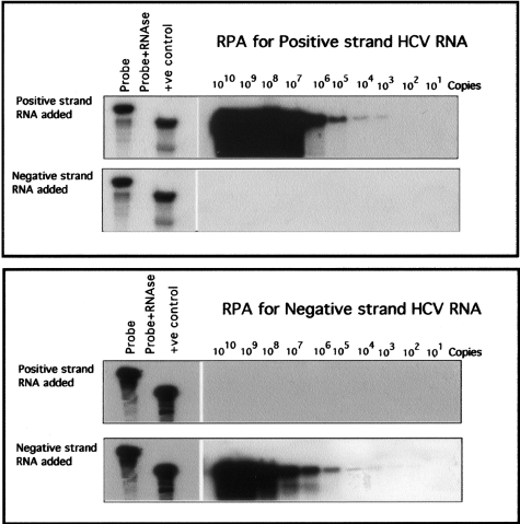 Figure 10-4241