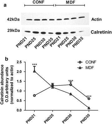 Fig. 3