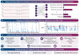 Graphical Abstract