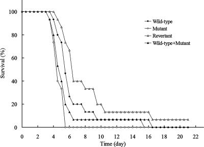 FIG. 8.