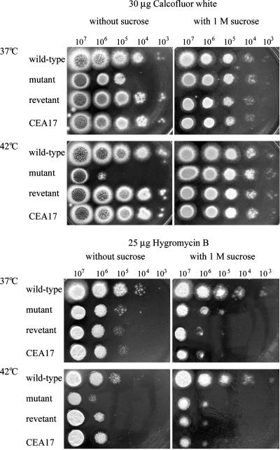 FIG. 4.