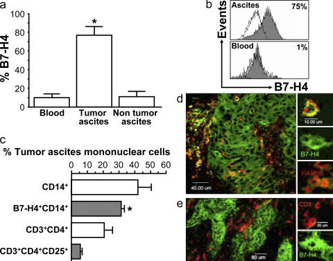 B7-H4 expression identifies a novel suppressive macrophage population ...