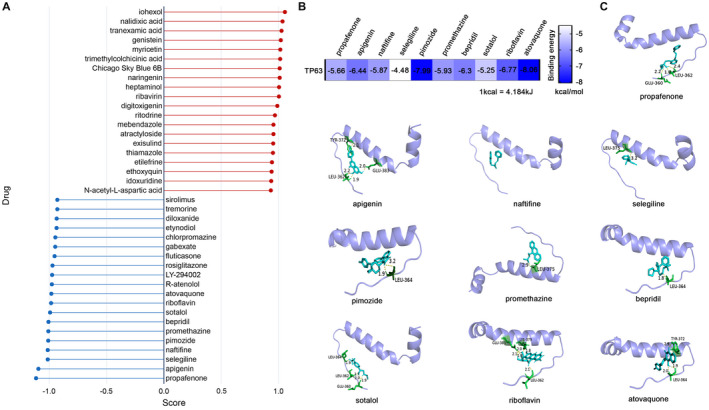 FIGURE 6