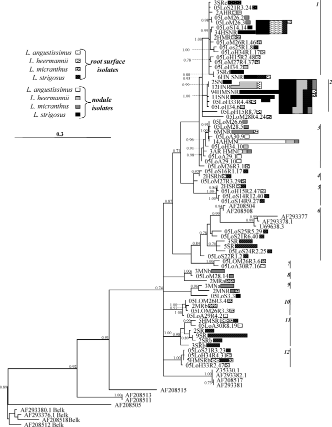 FIG. 1.