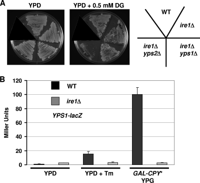 Fig. 7.