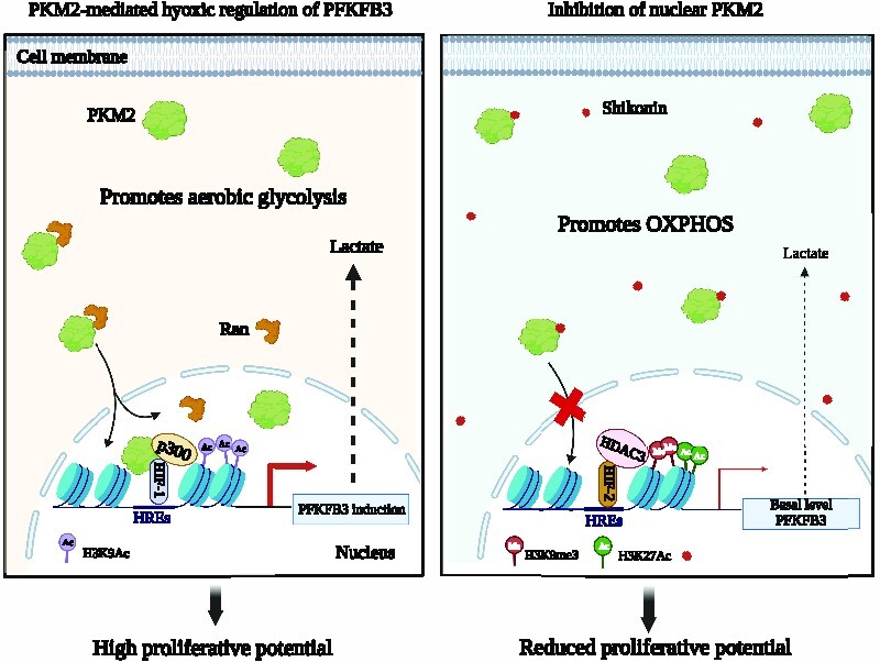 Graphical Abstract