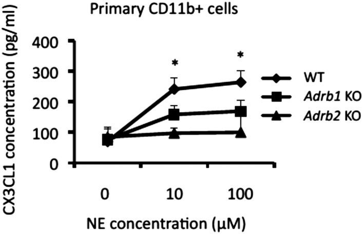 Figure 5—figure supplement 1.