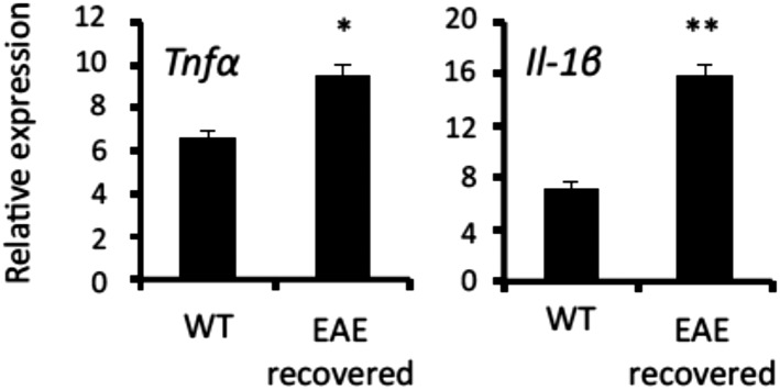 Figure 6—figure supplement 1.