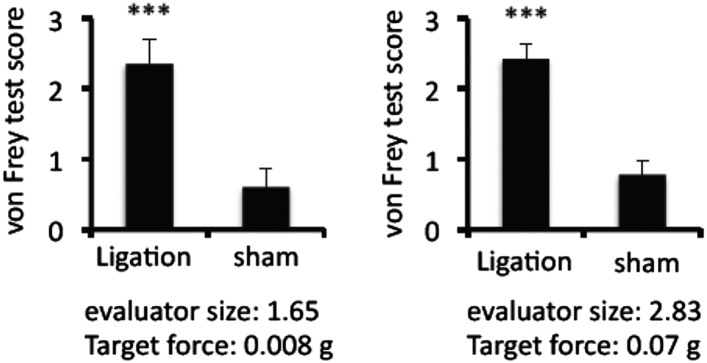 Figure 1—figure supplement 1.