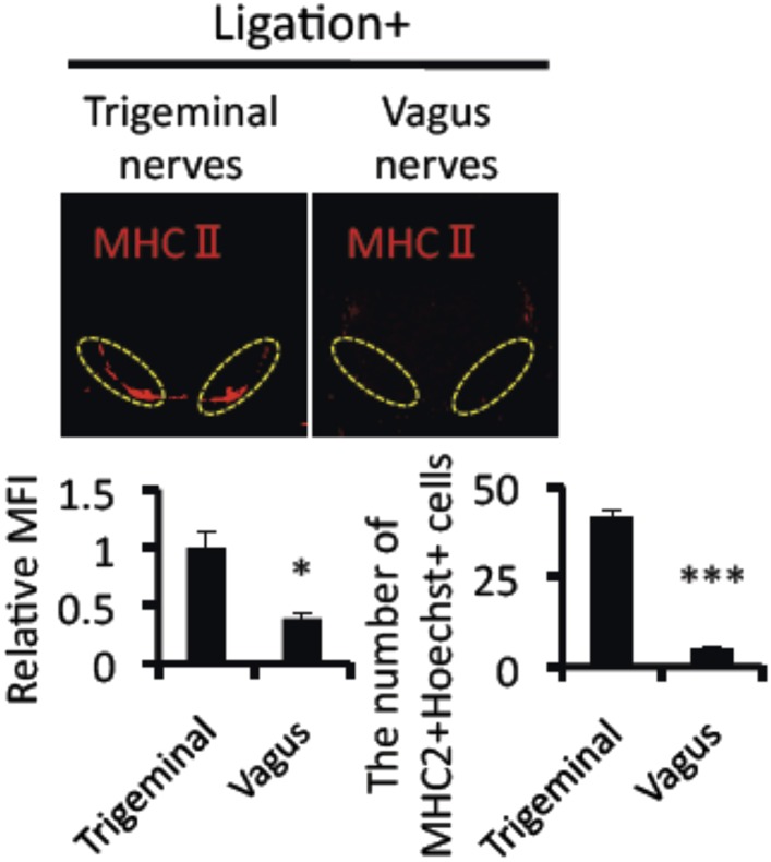 Figure 2—figure supplement 2.