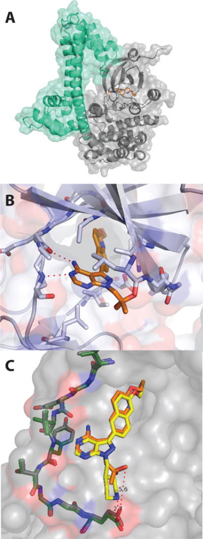 Figure 6