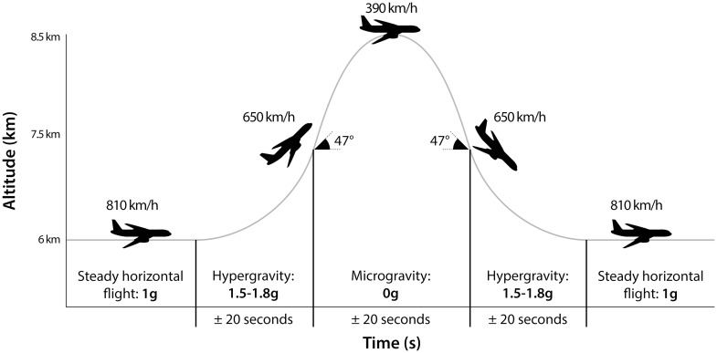 Fig. 1