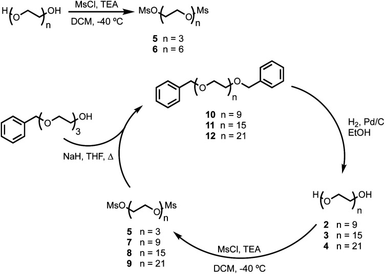 Scheme 1