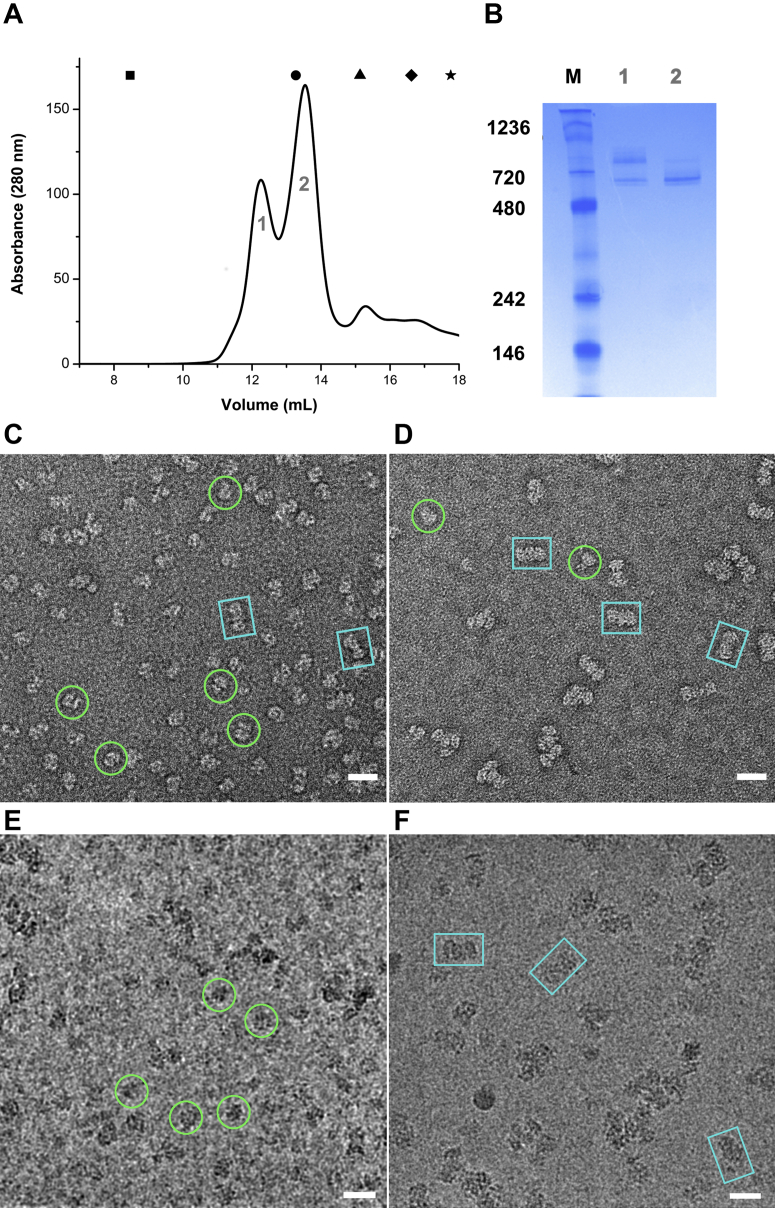 Figure 1