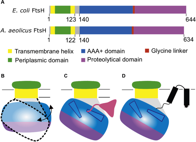 Figure 5