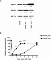 Fig 2.