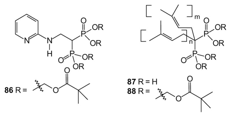 Fig. 21