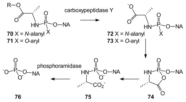 Fig. 16