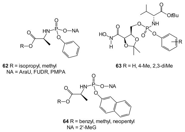 Fig. 13