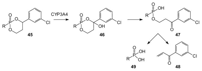 Scheme 2