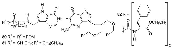 Fig. 19