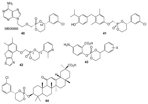 Fig. 8