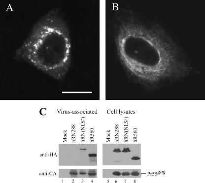 FIG. 6.