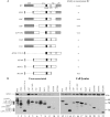 FIG. 7.