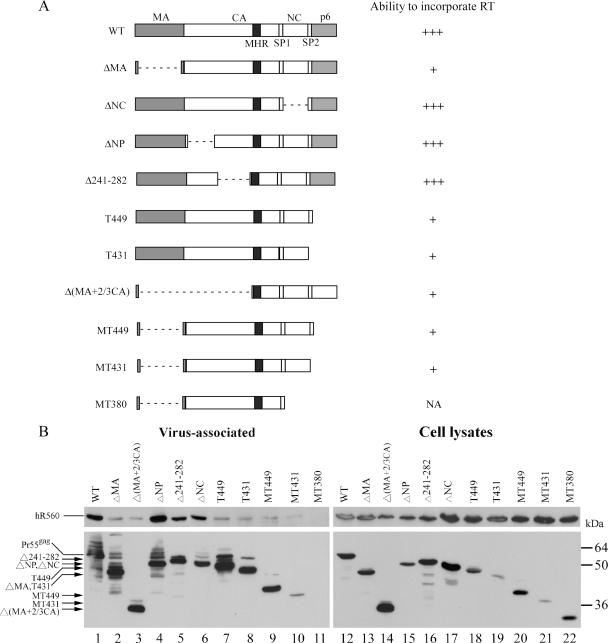 FIG. 7.