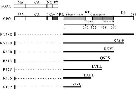 FIG. 1.