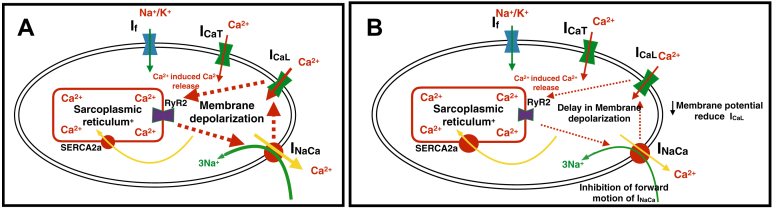 Figure 7