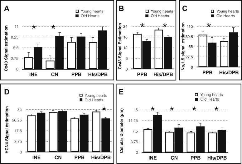 Figure 4