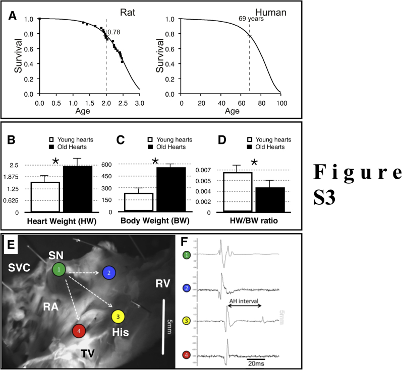 Supplemental Figure 3