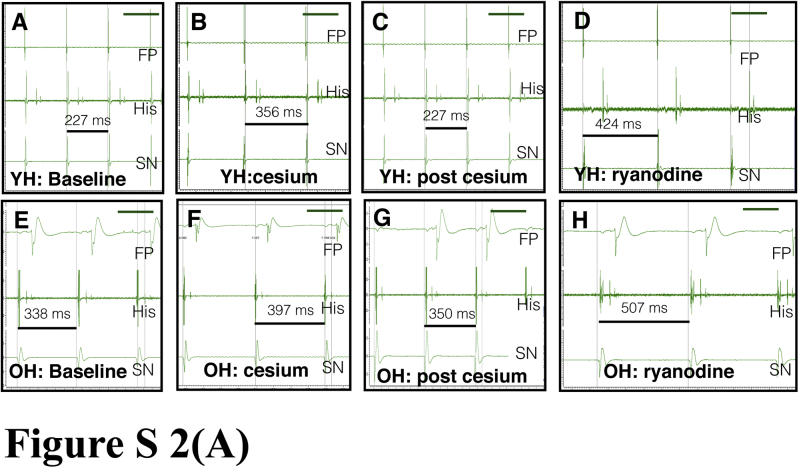 Supplemental Figure 2A