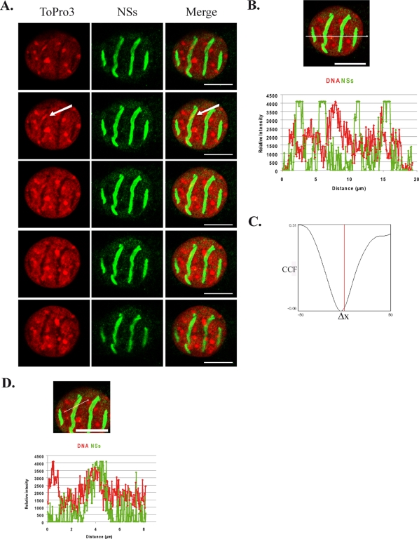 FIG. 1.