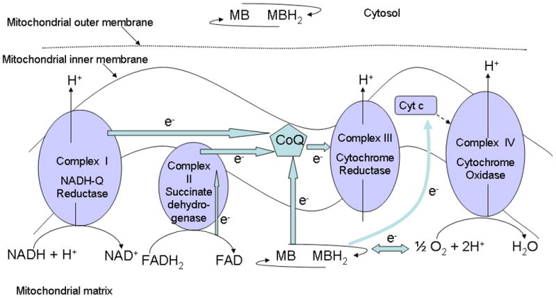 Fig. 2