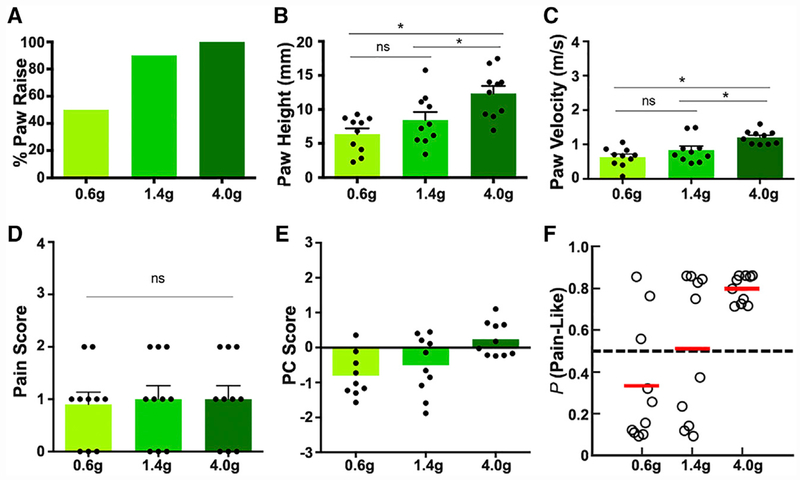 Figure 5.