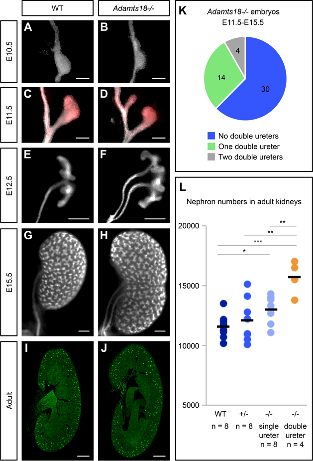 Fig. 7: