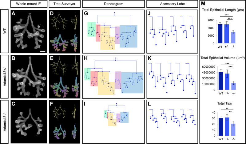 Fig. 4: