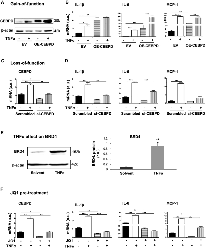 Figure 6