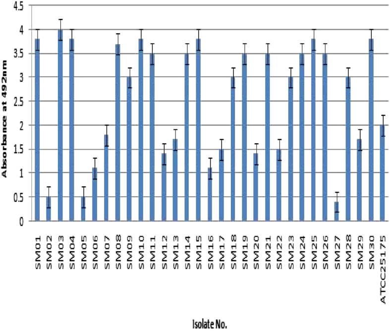 Fig. 1