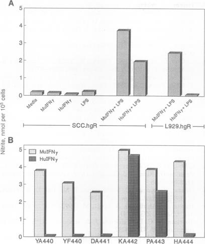 graphic file with name pnas01098-0070-a.jpg